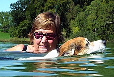 Jack Russell Terrier Linux likes to swim