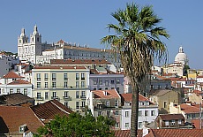 View from Miradouro Santa Lucia down to the historic city centre