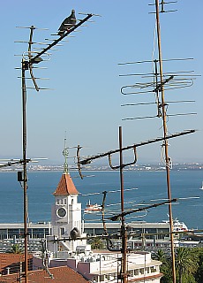 Lookout from Miradouro Santa Catarina downto river Tejo