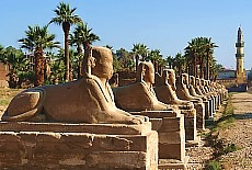 Sphinx Allee in Luxor