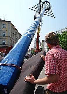 Maypole festival in Munich Untergiesing