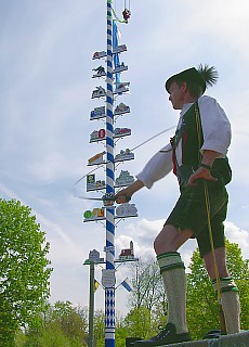 Maypole festival with Goiselschnalzer