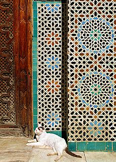 Mosaik Stilleben mit Katze in Fez