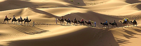 Camelride in the desert of Merzoga