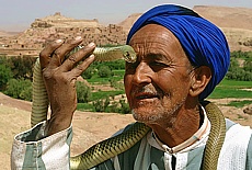 Snake charmer at Kasbah Ait Ben Haddou