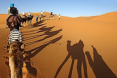 Camelride in the sand dunes of Merzouga