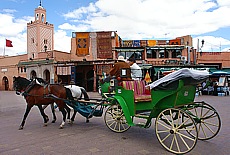 Pferdekutsche am Platz der Gehängten in Marrakesch