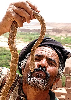 Snake charmer in Kasbah Ait Ben Haddou
