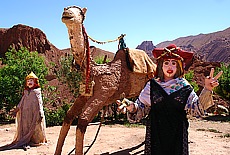 Fancy Camel Puppets in Dades valley