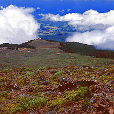 Driving up Haleakala summit