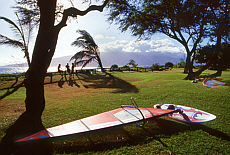 Windsurfing on Maui