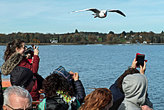 Freche Chiemsee Mve am Schiff zur Fraueninsel
