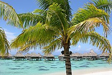 Beachcomber Hotel