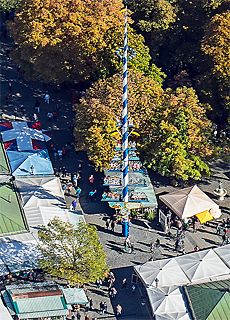 Maibaum am Viktualienmarkt