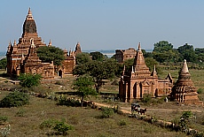 Pagoda landscape in Bagan