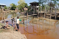 Fisher boys at lake Inle