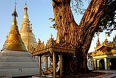 Shwedagon Pagoda in Yangon