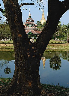 Small lake near Shwedagon Pagoda