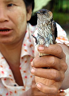 Vogelhndlerin im Mahamuni Tempel