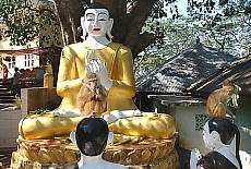 Monkeys on Mount Popa