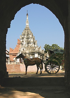 Horse cart taxi in Bagan