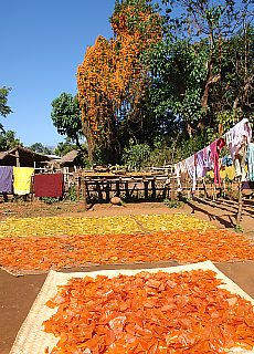 Mountain village near Kalaw