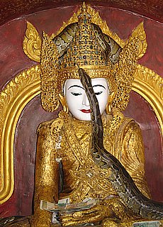 Buddha with phyton in Snake temple near Mandalay
