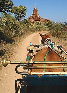 horse-drawn carriage in Bagan