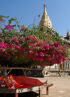 Sleeping Monk at Ananda Temple in Bagan
