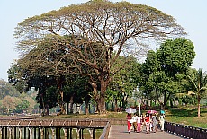 Wooden boardwalk in Karaweik Park Yangon