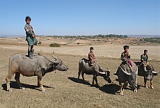 Hirtenjungen bei Kalaw