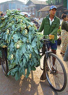 Cauliflower greengrocer at the market of Hpa-an
