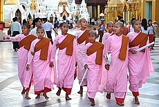 Novice monks at Shwedagon Pagoda