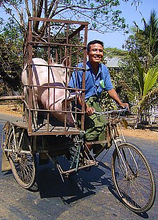 Farmer goes to the market to sell his pigs