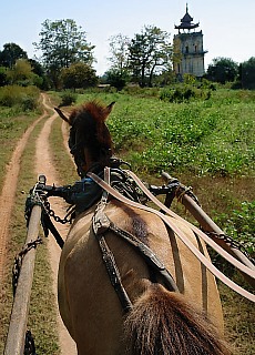 Coach ride to the leaning tower of Ava