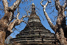 Blooming trees in front of Zina Man Aung Pagoda in Mrauk U