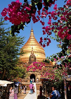 Golden Dhamma-Ya-Zi-Ka Pagoda in Bagan