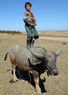 Hirtenjunge bei Kalaw