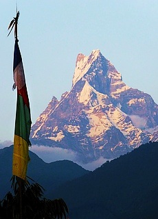 Fischtail mountain on Annapurna Track - Sanctuary Lodge