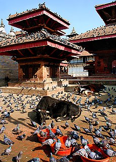 Durbar Square - Royal palace in Kathmandu