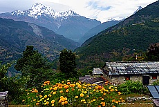 Gurung Lodge at Annapurna South and Machhapuchare