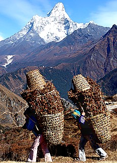 Sherpa farmer near Khumjung