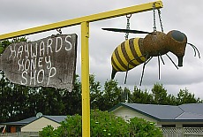 Bienchen summ - Honypot in Palmerston