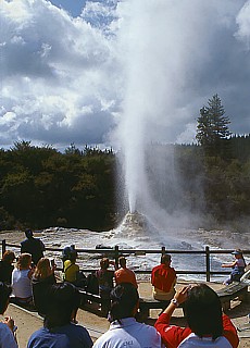 Lady Knox Geysir