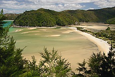 Torrent Bay in Abel Tasman National Park