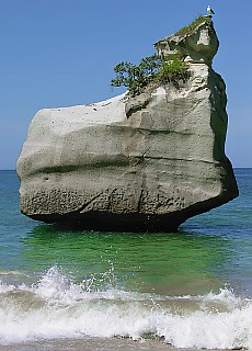 Cathedral Cove