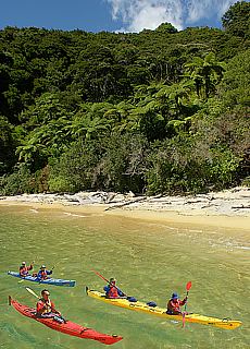 Paddler in Abel Tasman National Park