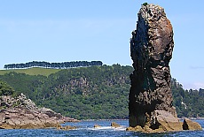 Boatstour in the Mercury Bay Coromandel