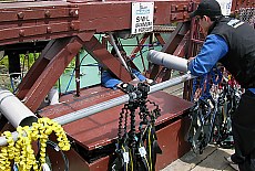 Bungy Jumping in Queenstown