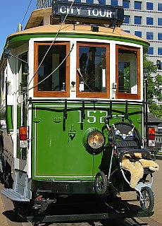 Child friendly tramway in Christchurch